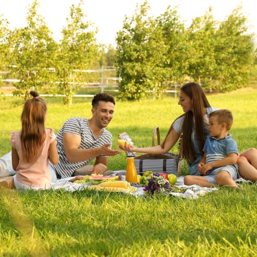 Co zabrać na piknik? Pomysły na przekąski i niezbędne akcesoria