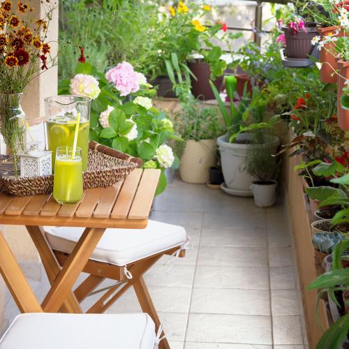 Jakie kwiaty na balkon? Najpiękniejsze aranżacje balkonów inspirowane naturą