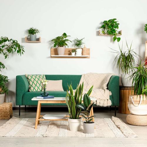 Inspiracje na wystrój wnętrz z użyciem sztucznych roślin — pomysły do każdego pomieszczenia