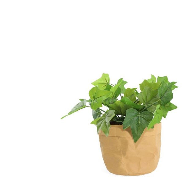 Osłonka naturalna