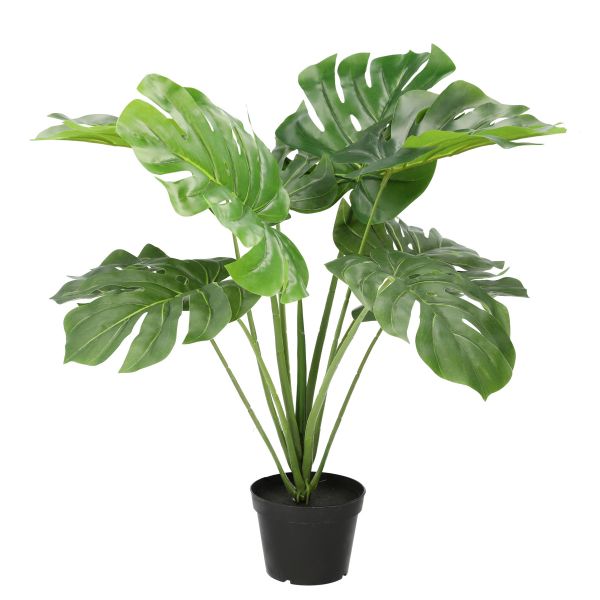 Sztuczna monstera