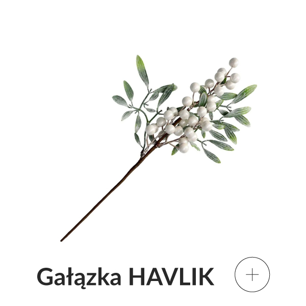 gałązka z białymi owocami