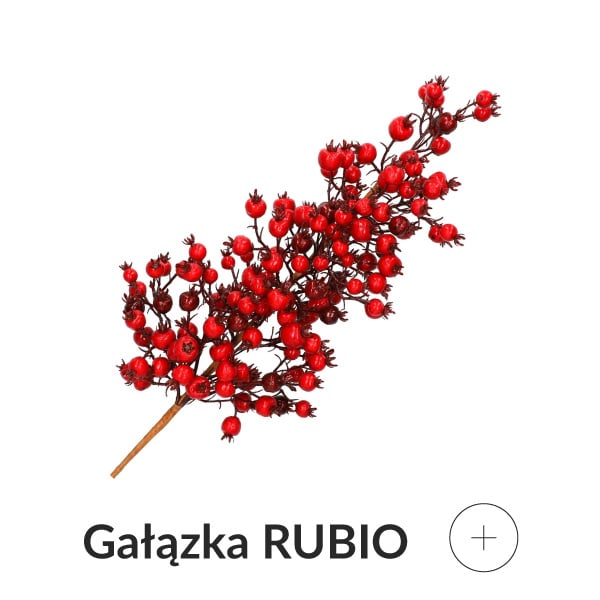 gałązka z czerwonymi owocami