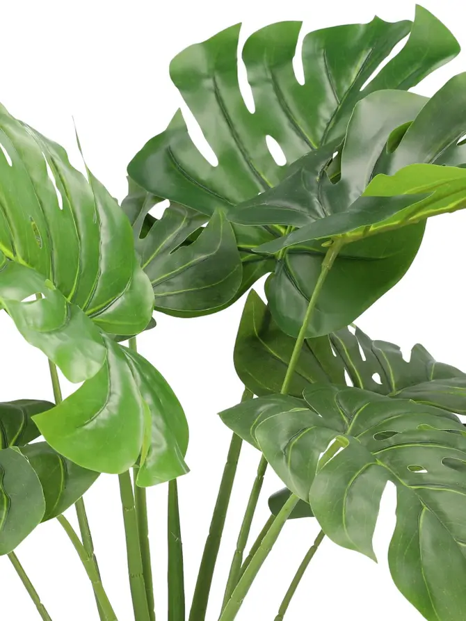 Monstera TROPICAL ZONE sztuczna 90 cm