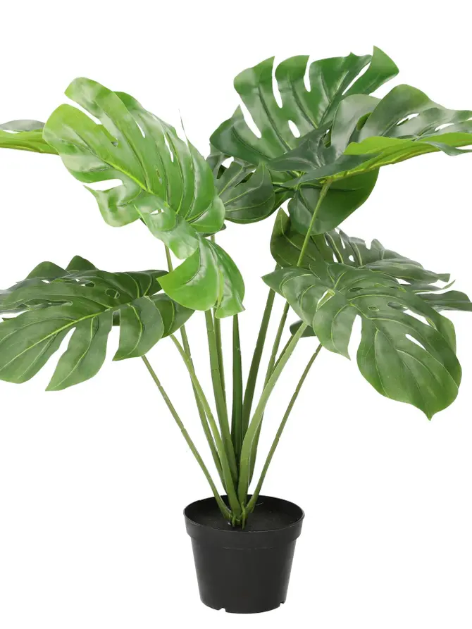 Monstera TROPICAL ZONE sztuczna 90 cm