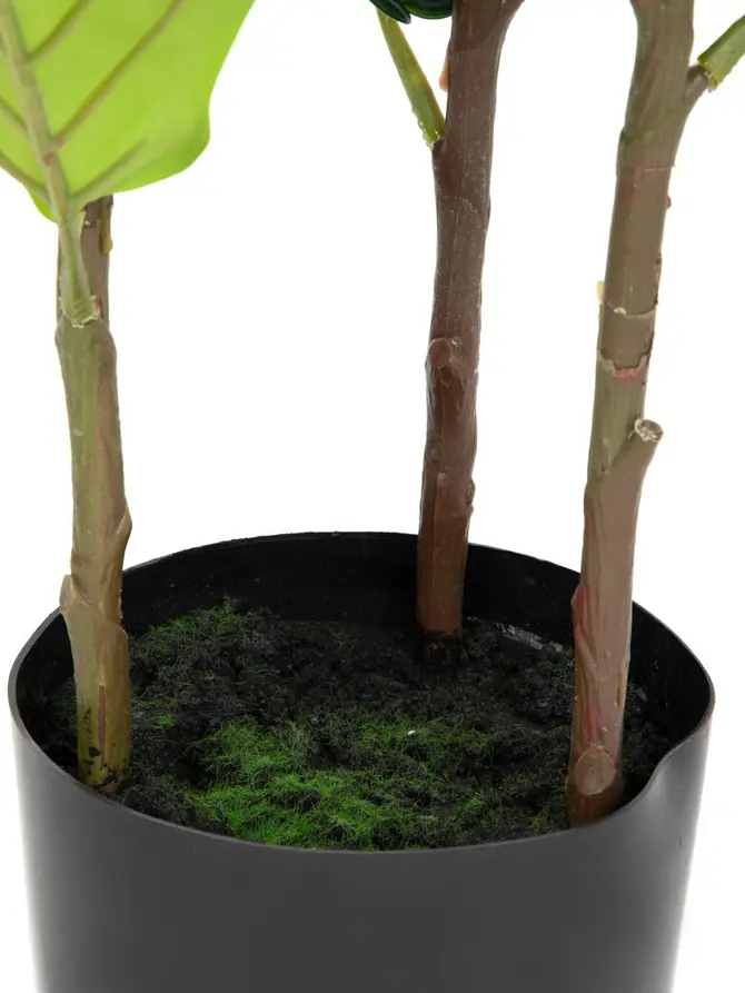 Roślina sztuczna BOTANIC figowiec 100 cm