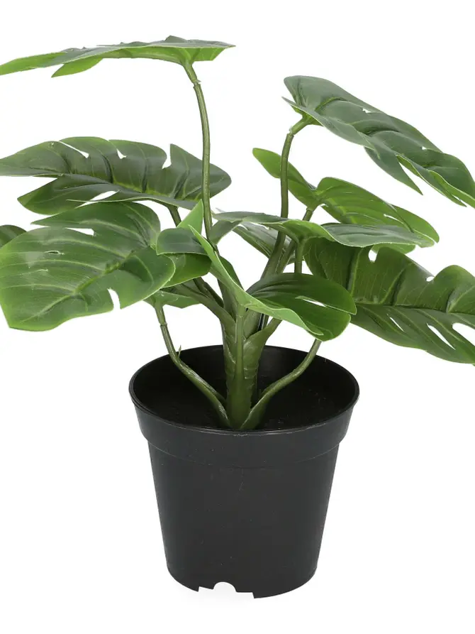 Roślina MONSTERA sztuczna 29 cm