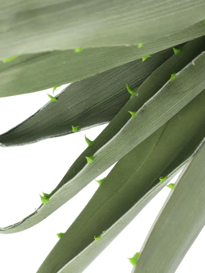 Kwiat sztuczny ALOE zielony 80 cm