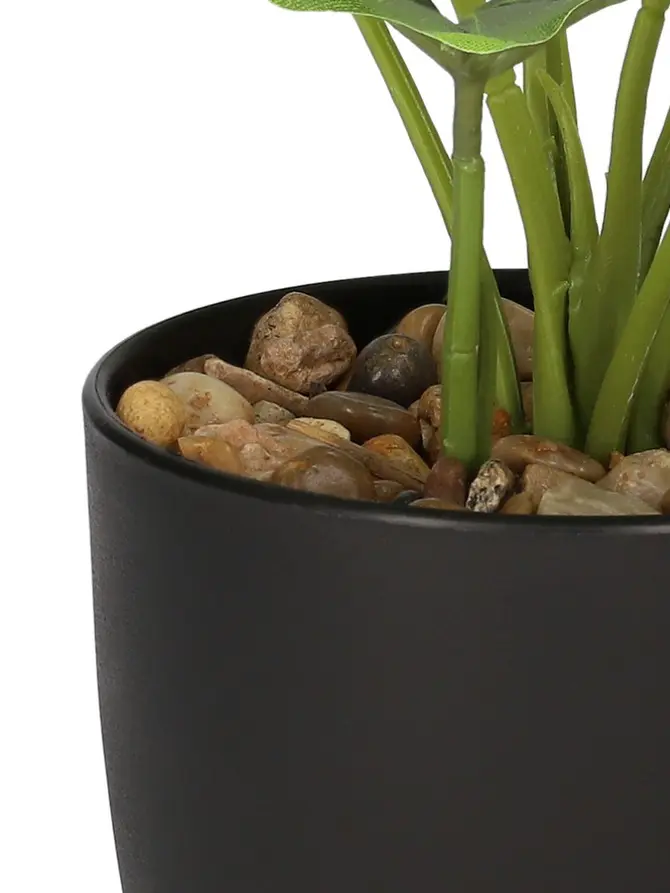 Roślina PALMS sztuczna 13x41 cm