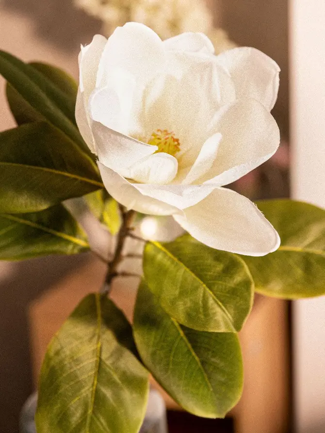 Kwiat sztuczny HIYA magnolia biała 71 cm