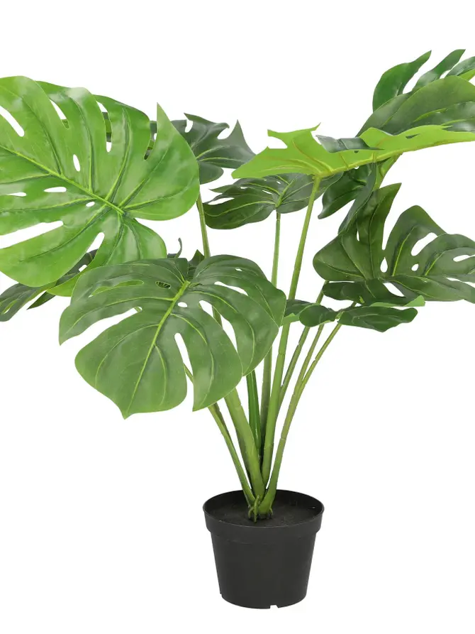 Monstera TROPICAL ZONE sztuczna 90 cm