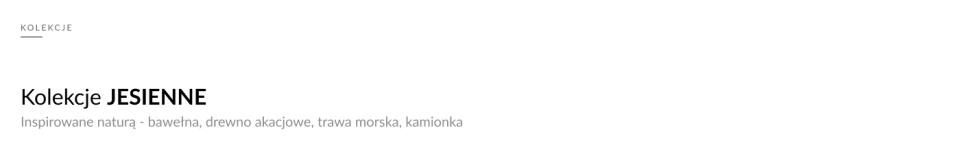 Kolekcje jesienne